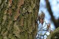 Wandelen langs de Dommel